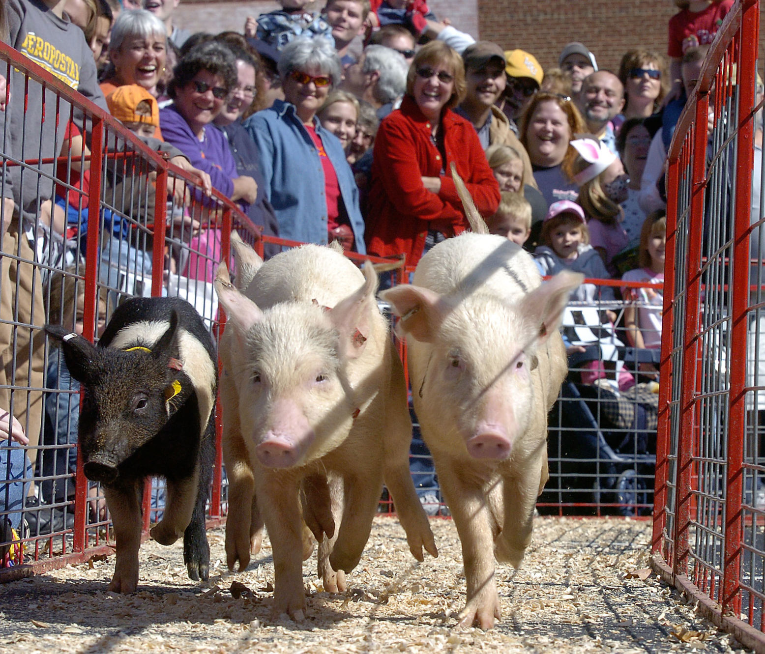 BARBECUE FESTIVAL 2006